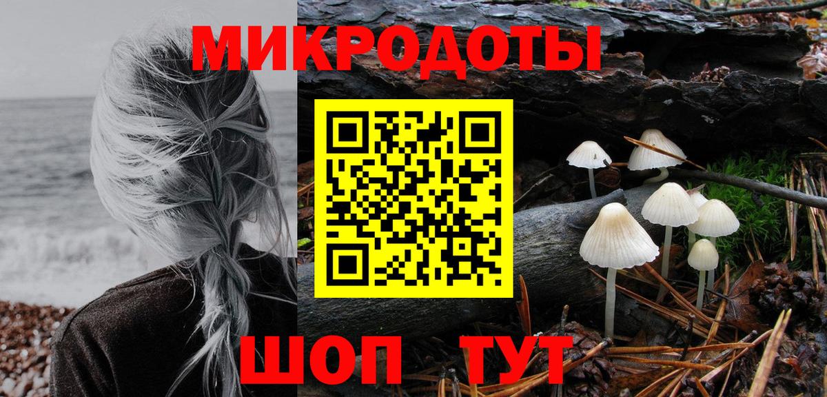 Галлюциногенные грибы Psilocybine cubensis  Вход с VPN  Химки 