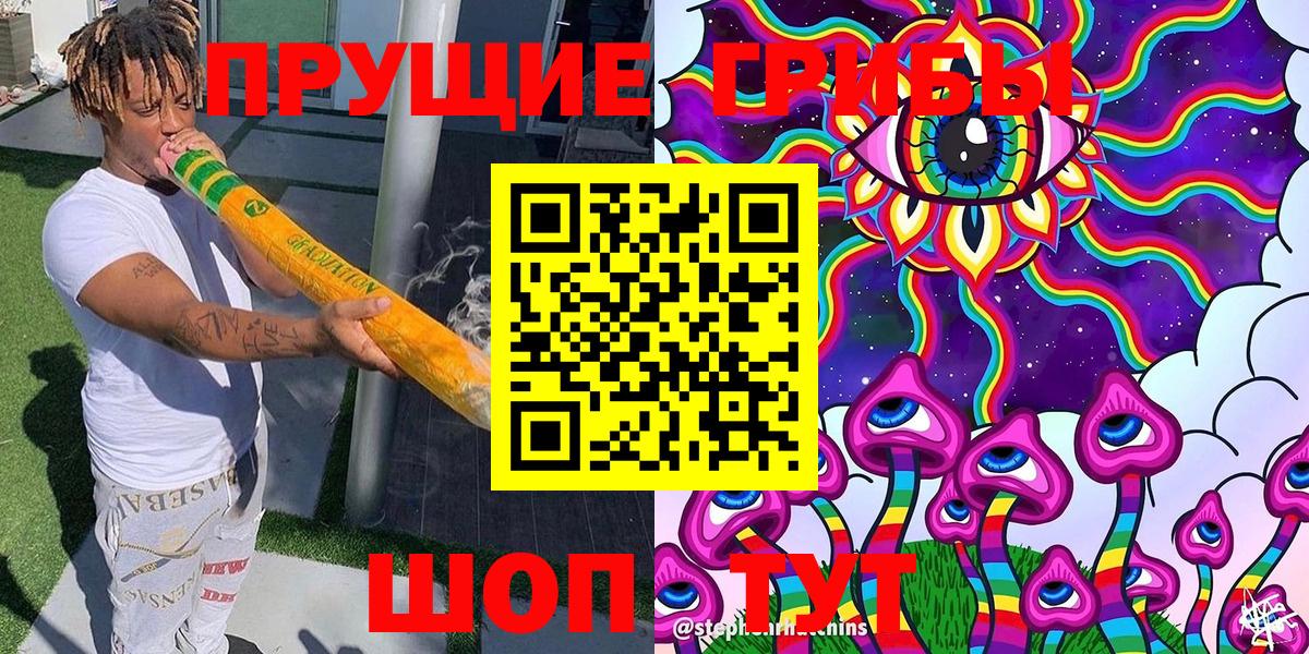 Псилоцибиновые грибы Cubensis Химки